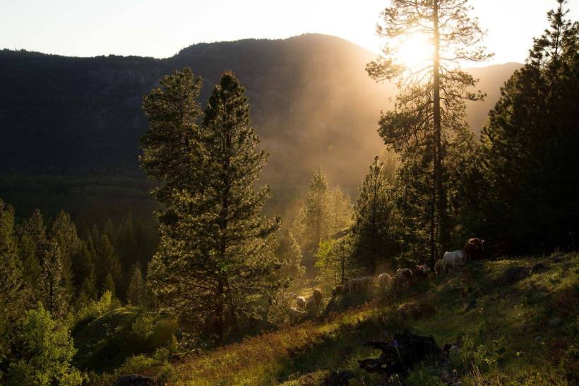 13131383_10153959754861293_867982933049937122_o