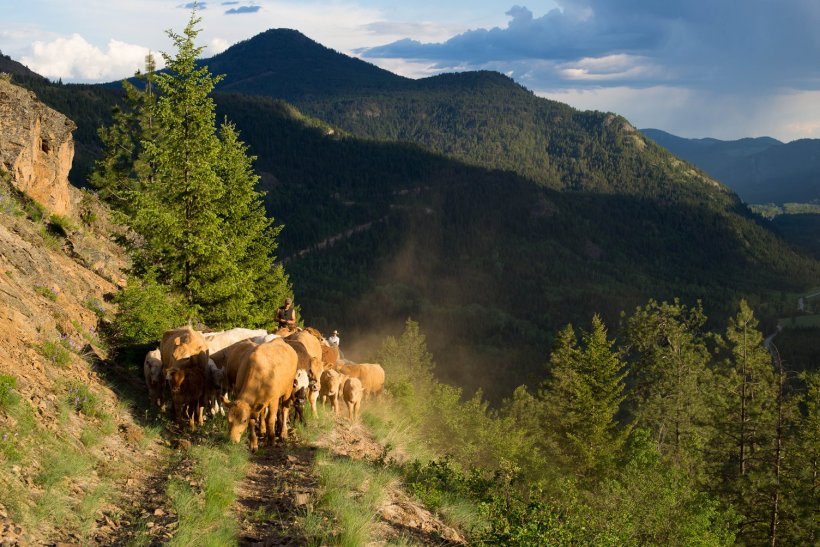 33475223_10156070097581293_6753267947570987008_o