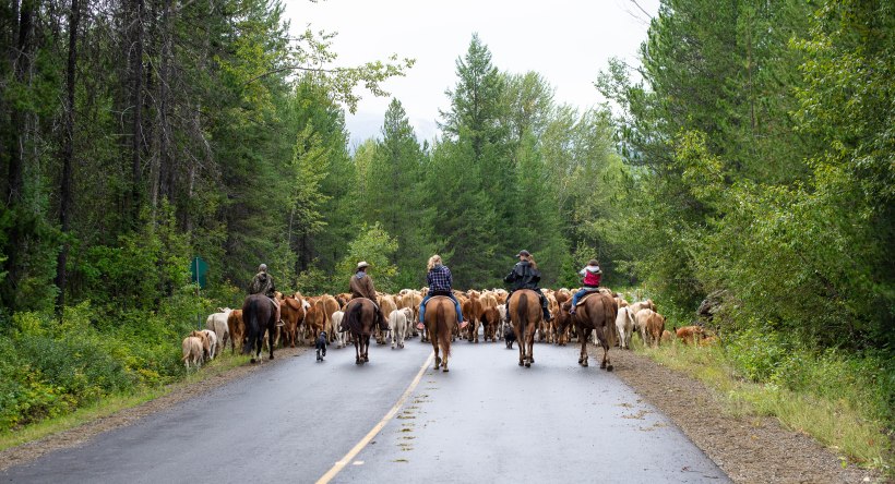 NorthRanch Roundup-20