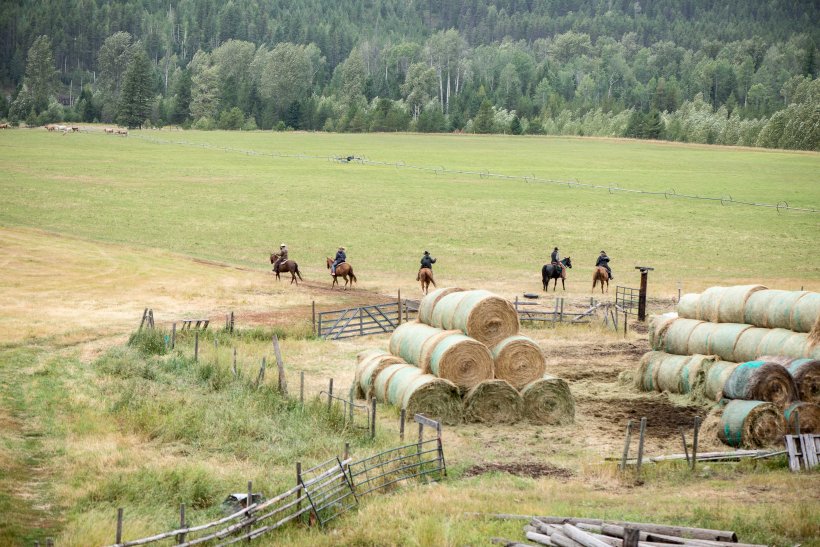 NorthRanch Roundup-9